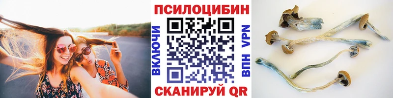кракен tor  Шилка  Галлюциногенные грибы мицелий 